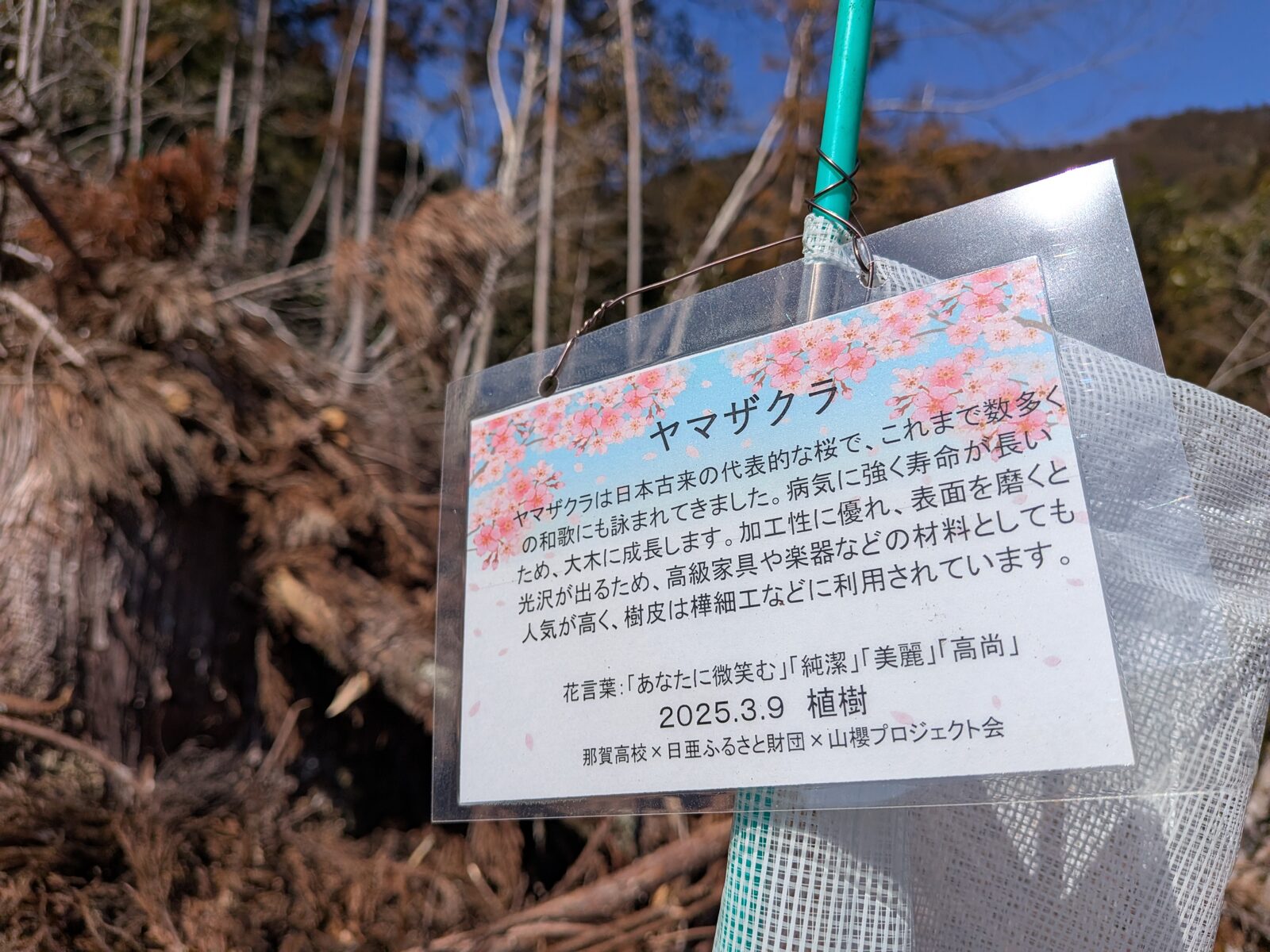 謎解きミッション「命の芯を見つけろ」