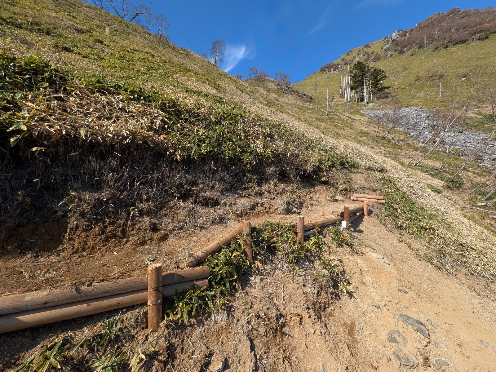 丸太柵で補強した登山道